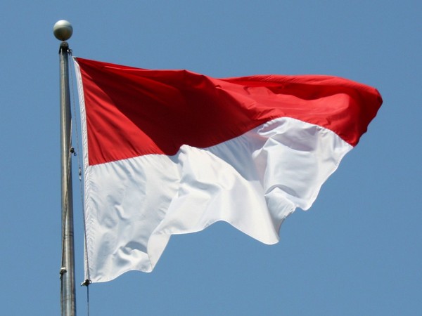 Indonesian Parliament passes law to declare city of Nusantara as new capital: Reports