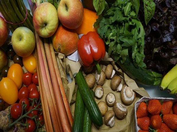 Consume plant-based diet for healthy heart: Study 