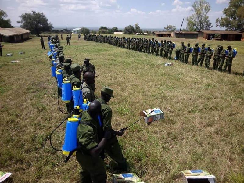 Locusts swarm into South Sudan as plague spreads