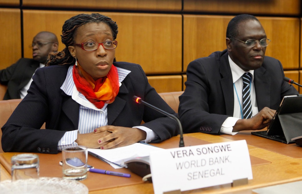 UN expert lauds Angola govt’s step in stabilizing macroeconomic situation