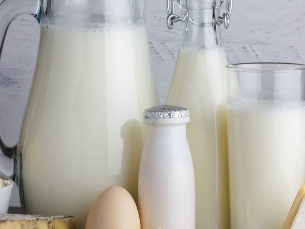 EXPLAINER-Spilt milk? Why are the US and Canada fighting over dairy?