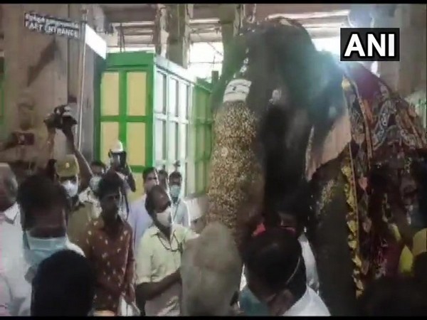 TN ministers, veterinary experts visit Madurai's Meenakshi Amman Temple to review condition of elephant Parvati