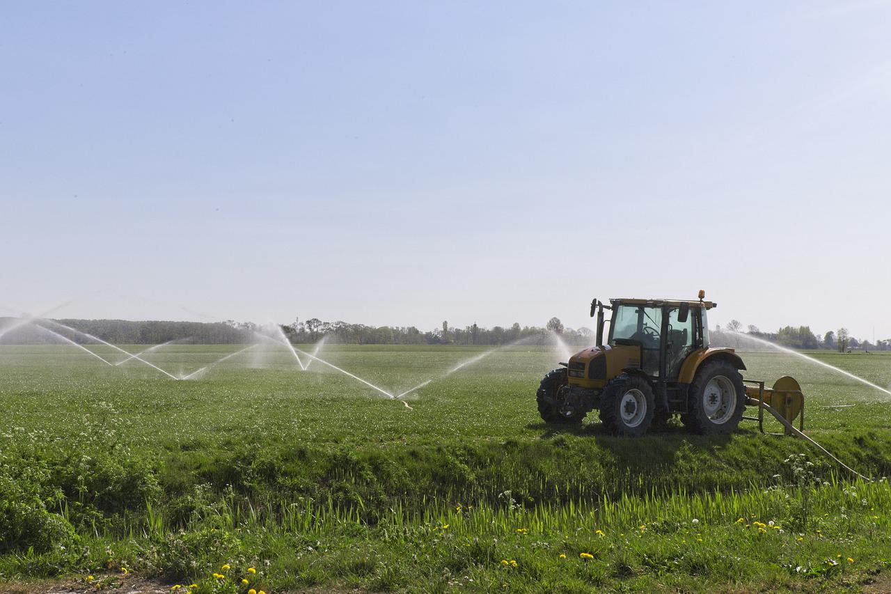 U.S. EPA ordered to reassess glyphosate's impact on health, environment