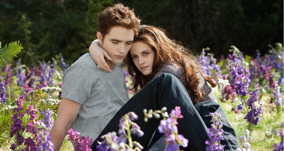 Why Director raised age issue for Robert Pattinson & Kristen Stewart during Twilight audition?