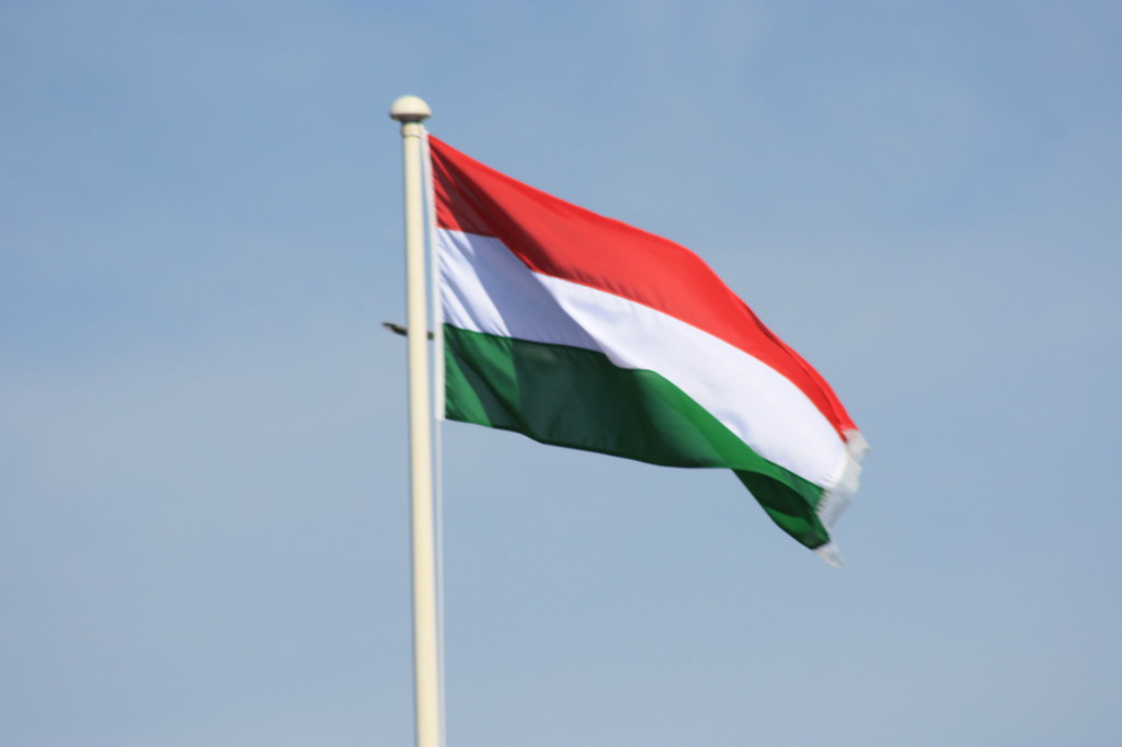 Hungarian delegation backs Sweden's NATO application