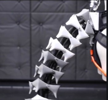 Science News Summary: Japanese researchers build robotic tail to keep elderly upright