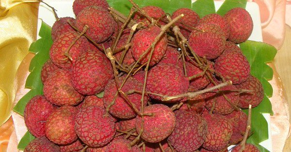 Shahi Litchi gets GI tag, valid for period of 10 years