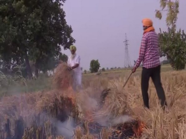 Punjab govt asked to disclose how it will achieve its target to reduce stubble burning incidents