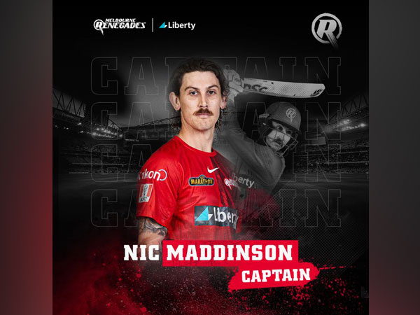 Nic Maddinson to lead Melbourne Renegades in upcoming BBL