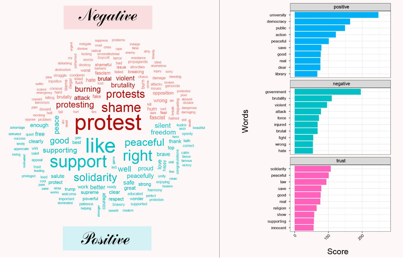Sentiment Analysis on Jamia Protest: Social media decries violent protests and police brutality in same vein