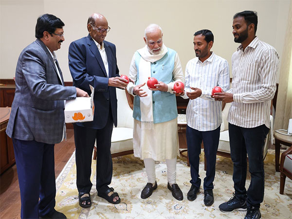 Sharad Pawar Gifts Pomegranates to PM Modi Amid Maharashtra Political Shifts