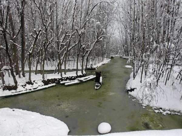 Kashmir sees fall in minimum temperature