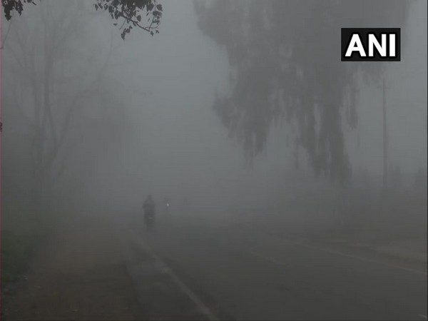 Thick layer of fog envelopes Amritsar, visibility affected