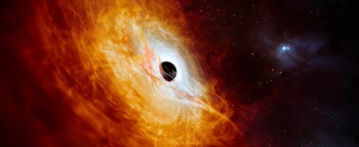 Iron X-ray Lines Detected in Binary Black Hole System 4C+37.11: A Milestone in Black Hole Research