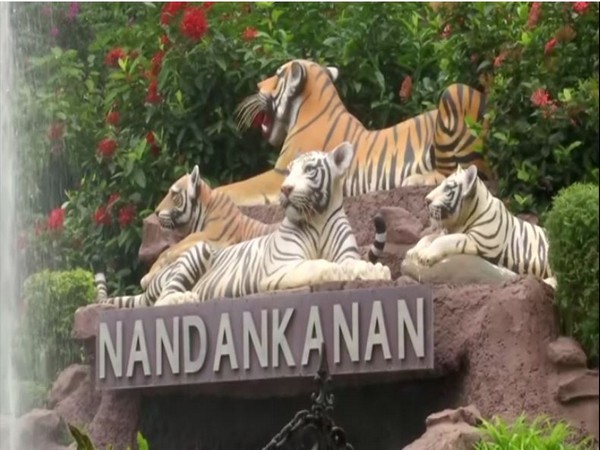 Odisha: Nandankanan Zoo welcomes two lion cubs