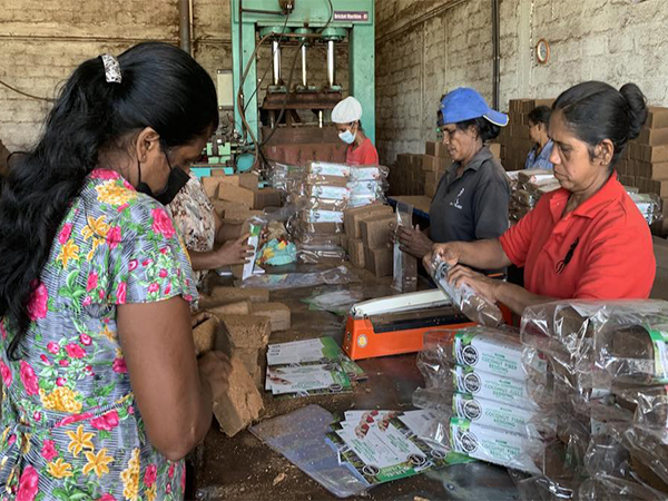 ADB approves USD 100 mln loan to support small and medium-sized enterprises in Sri Lanka