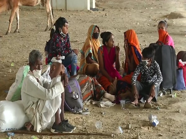 Haryana govt sends 2.90 lakh migrant labourers to native states