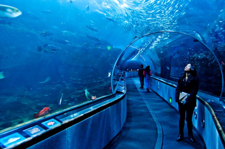 Penguins and jellyfish wow visitors at new Taiwan aquarium