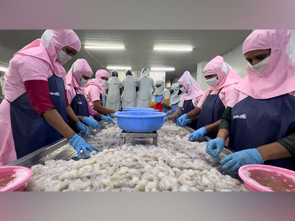 India records all-time high sea food export in FY 24