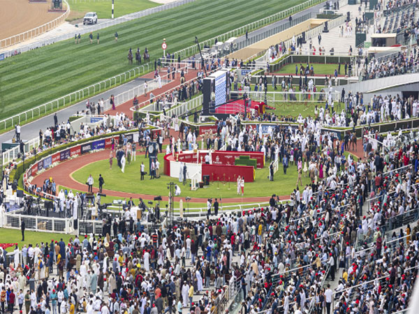 Dubai World Cup 2025: A Grand Finale of Horseracing Excellence