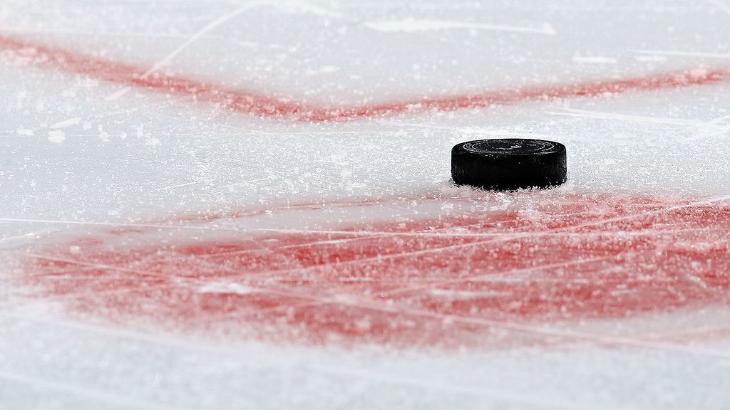 NHL suspends Capitals forward Tom Wilson 20 games 