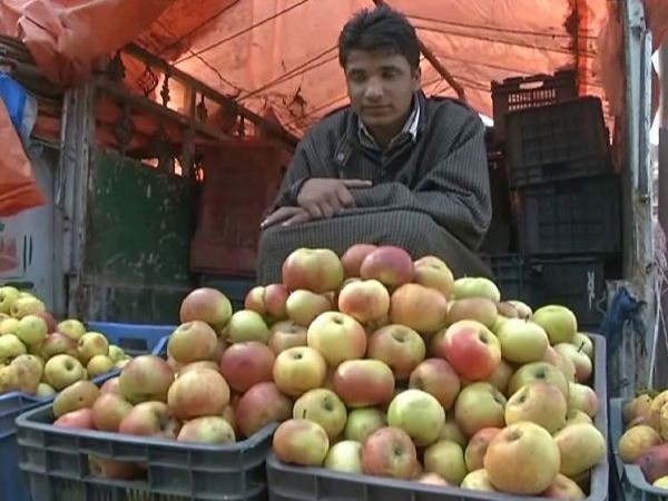 Nafed apple procurement in Kashmir failed miserably, says farmers body