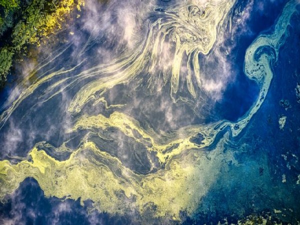 Study: Climate change could impact algae in global ocean