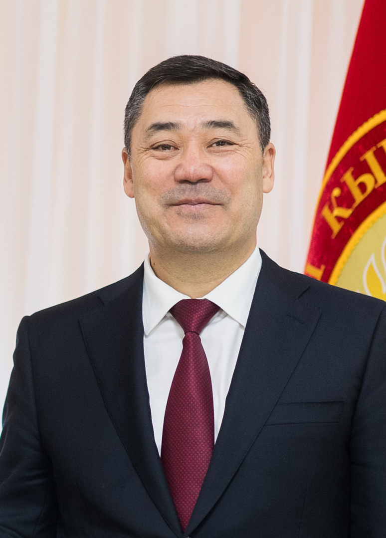 Leadership Shakeup: Kyrgyz Prime Minister Ousted