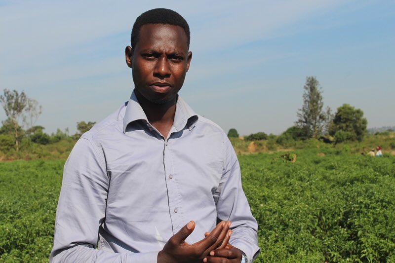 You need more role models, young entrepreneurs lend glamour to African agriculture