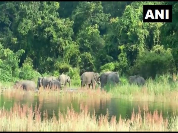 Ten satellite phones handed over to Kaziranga National Park foresters