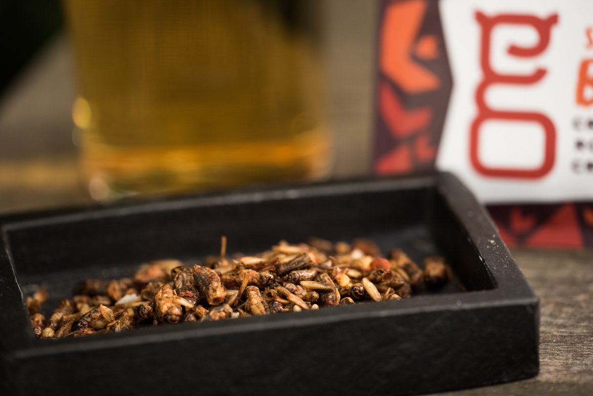 Sainsbury's becomes first British supermarket chain to stock edible insects