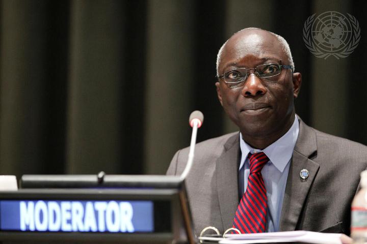 Adama Dieng designated as expert on human rights in Sudan