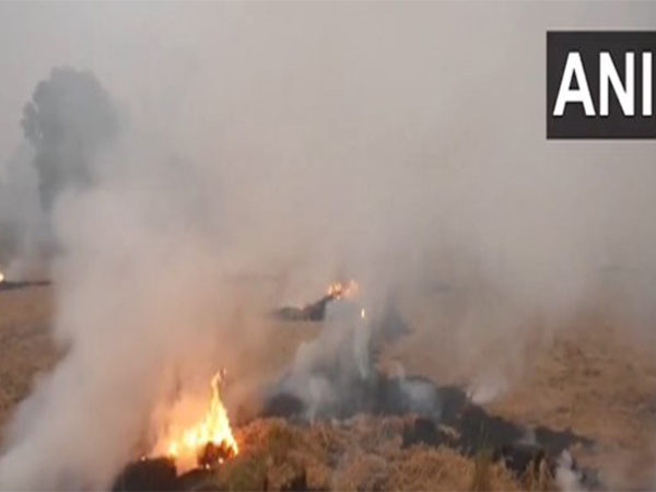 Punjab Faces Record Surge in Farm Fires Amid Air Quality Alarm