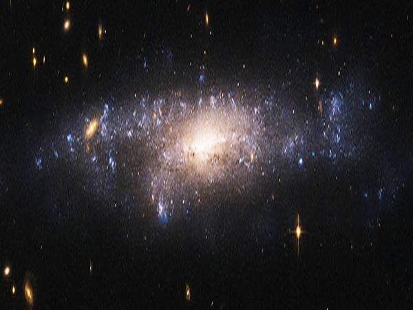 Study reveals composition of dark matter present in dark galaxies