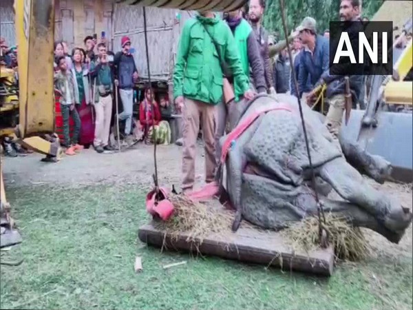 Strayed rhino rescued, taken to Assam State Zoo