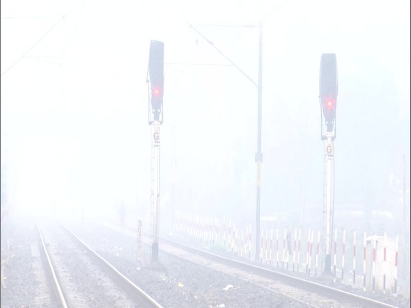 Dense fog, cold wave continues in North India 