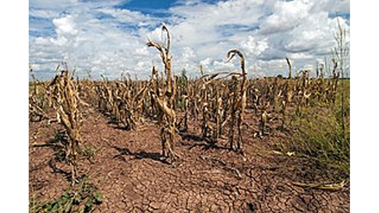 UN debate calls for integrated action to address challenges posed by El Niño