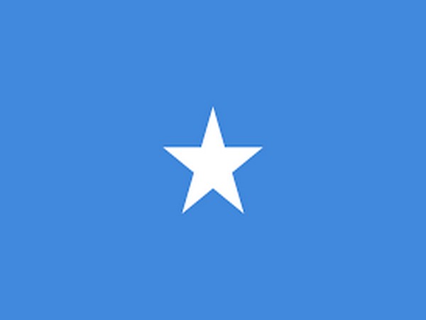 Somalia's parliament votes to cancel presidential term extension
