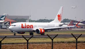 Indonesia's Lion Air Group to suspend all flights to China from February