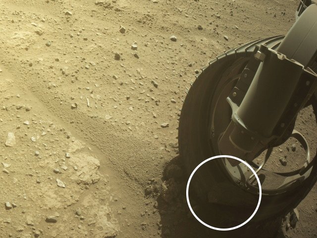 NASA's Perseverance Mars rover picks up two more hitchhikers