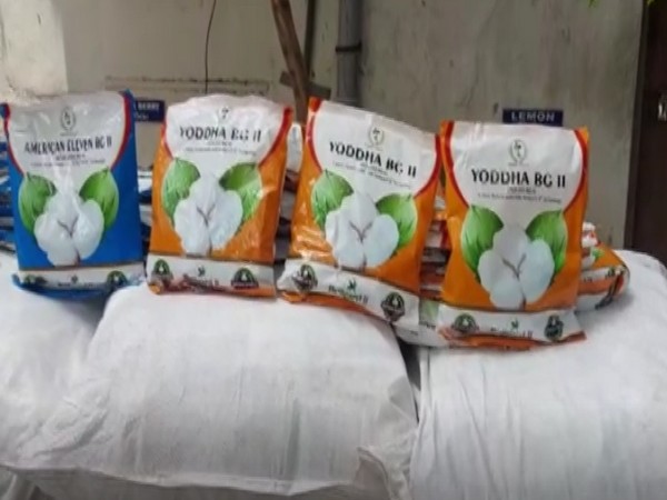 Hyderabad Police nabs a person in illegal procurement, sale of unauthorised herbicide-tolerant cotton seeds
