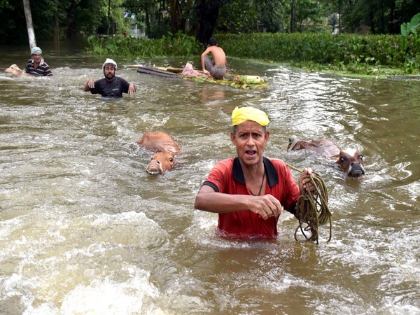 Flood, landslides claim 71 lives so far in Assam, 33 districts affected