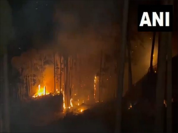 J-K: Fire in Bali-Tirchi forest range continues to rage, 2 houses gutted