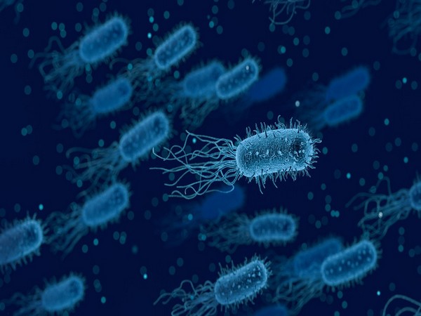 Study suggests mechanism to wake up sleeping bacteria to fight infections