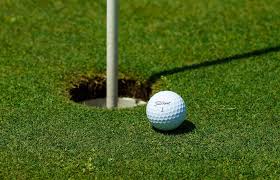 Golf-A new era? DeChambeau's U.S. Open triumph puts field on notice