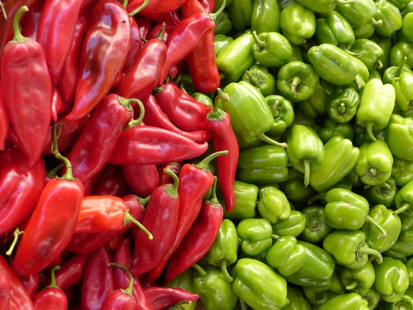 Chart out ways to tackle pest attack on chilli crops in Telangana, AP: Comm ministry to experts