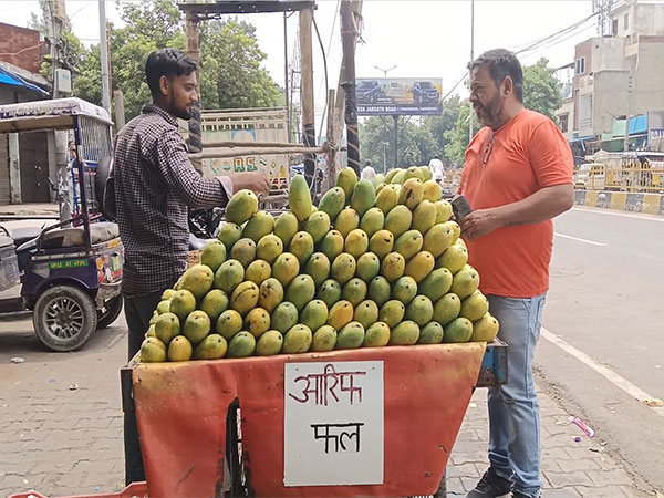 Controversy Erupts Over Uttar Pradesh's Directive on ID Cards for Kanwar Yatra Route Shops