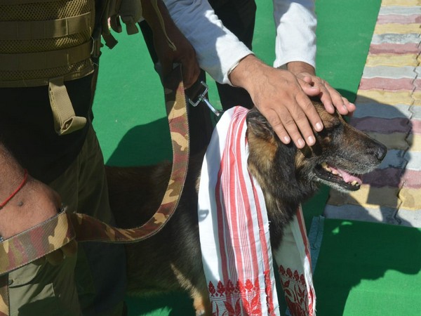 Assam: K9 dog squad helps forest officials track Rhino poachers