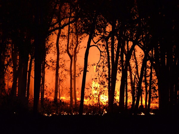 Spain: Thousands evacuated as wildfire rages “out of control” in Canary Islands