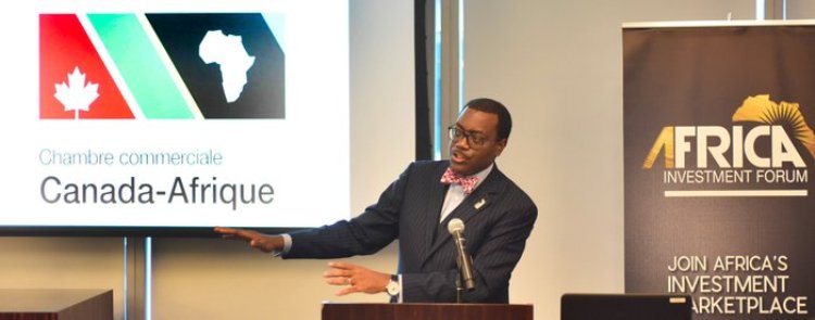 AfDB President urges Canada to seize investment opportunities in Africa